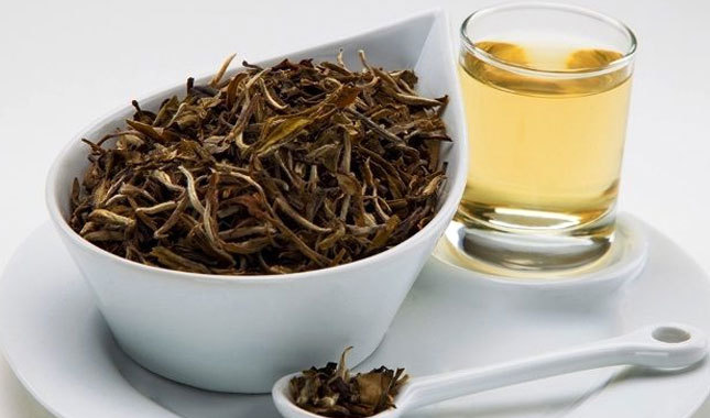 Beyaz çay nedir nerede satılır kilosu kaç para - Beyaz çayın faydaları nelerdir?