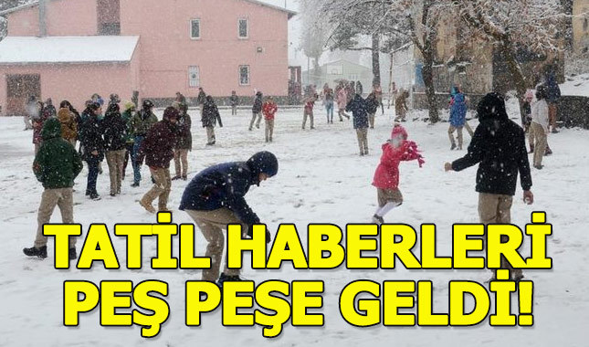 Bitlis, Van ve Hakkari'de okullar tatil mi (4 Mart pazartesi)