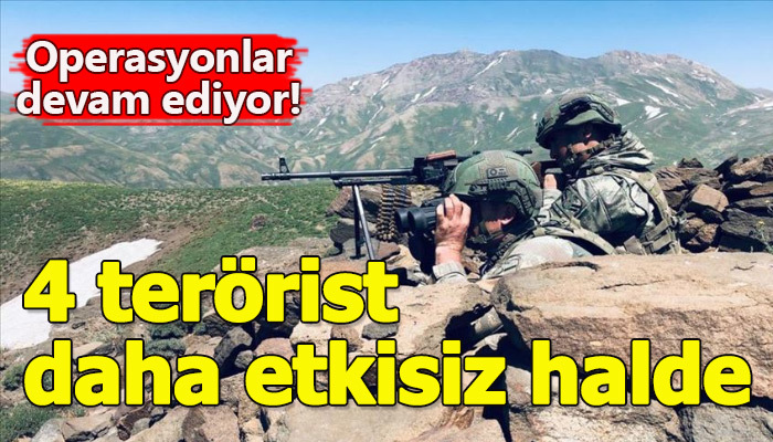 Bitlis kırsalında 4 terörist etkisiz hale getirildi