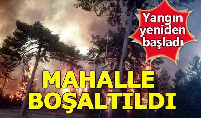 Bolu'daki yangın yeniden başladı! Mahalle boşaltıldı