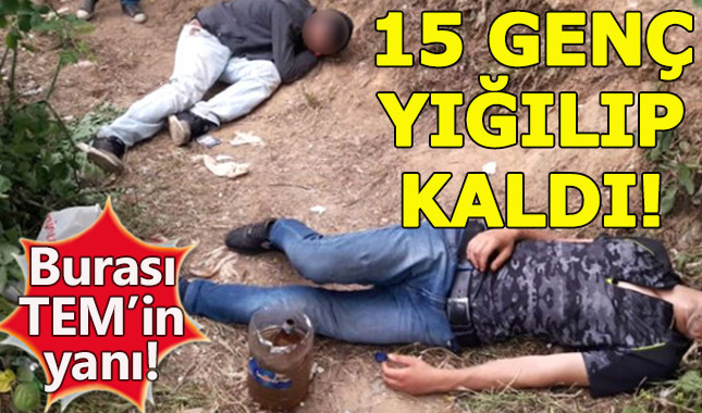 Bonzai içip TEM kenarında sızdılar