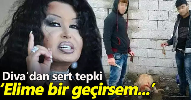Bülent Ersoy: Kulak nasıl kesilir göstereceğim