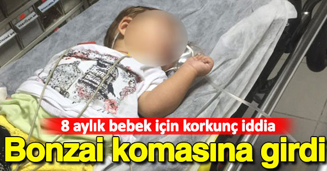 Bursa'da korkunç iddia! 8 aylık bebek bonzai komasına girdi
