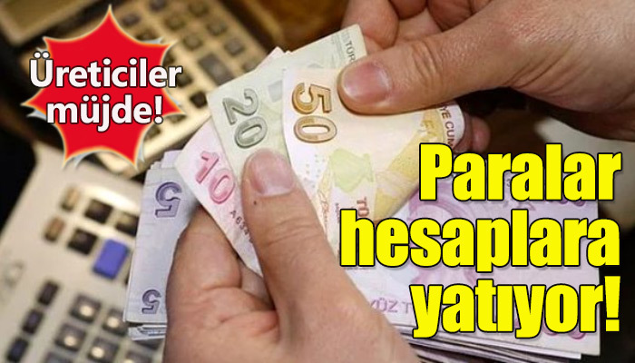 ÇAYKUR Temmuz ayı yaş çay ödemelerine başlıyor
