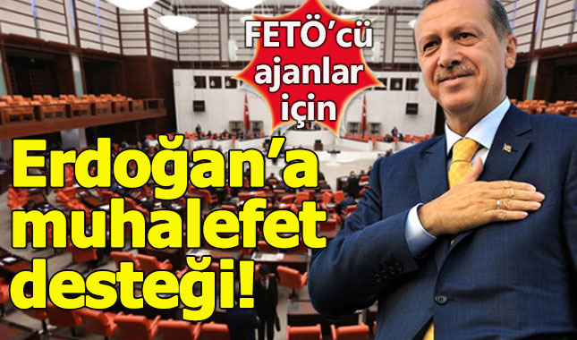 CHP'li vekilden Erdoğan'a destek!