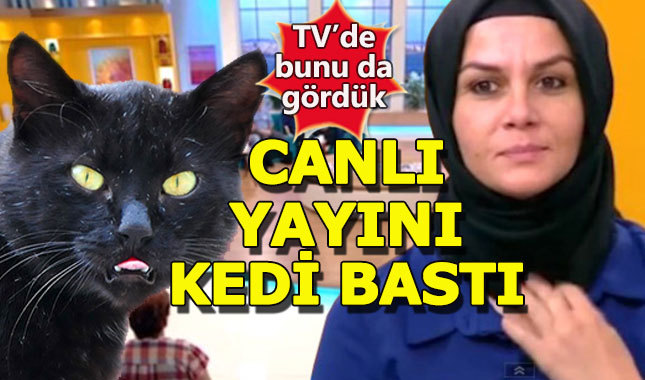 Canlı yayını kedi bastı