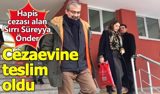 Sırrı Süreyya Önder kimdir, neden tutuklandı, kaç yıl ceza aldı, Sırrı Süreyya Önder suçu ne?