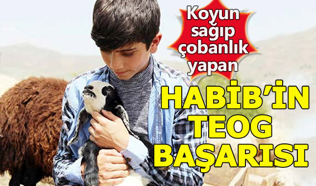 Çoban Habib TEOG'da ikinciler arasına girdi