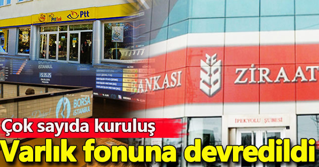 Çok sayıda kuruluş Türkiye Varlık Fonu'na devredildi