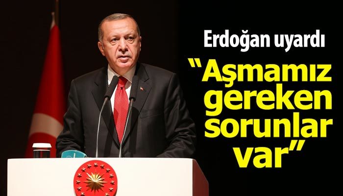 Cumhurbaşkanı Erdoğan: Aşmamız gereken sorunlar var