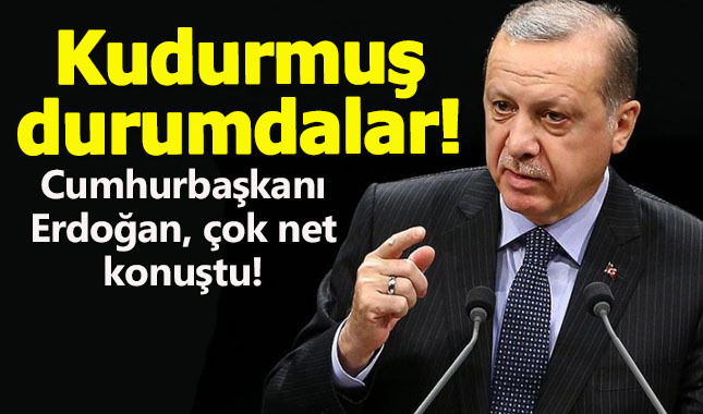Cumhurbaşkanı Erdoğan Konya'dan sesliendi: Kudurmuş durumdalar