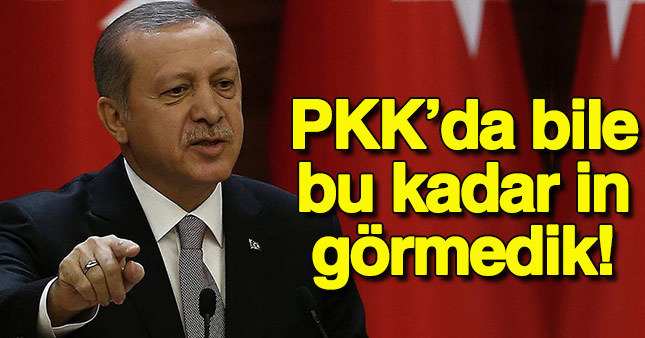 Cumhurbaşkanı Erdoğan: PKK'da bile bu kadar in görmedik