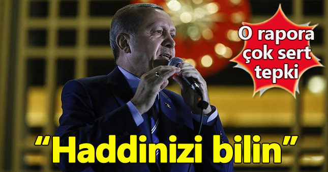 Cumhurbaşkanı Erdoğan'dan AGİT raporuna tepki