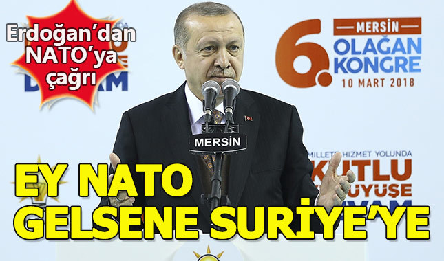 Cumhurbaşkanı Erdoğan'dan NATO'ya çağrı