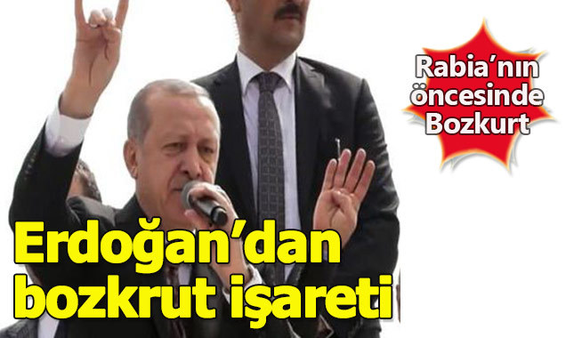 Cumhurbaşkanı Erdoğan'dan bozkurt işareti - Bozkurt işaretinin anlamı nedir?