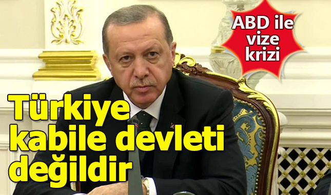 Cumhurbaşkanı Erdoğan'dan vize krizi değerlendirmesi