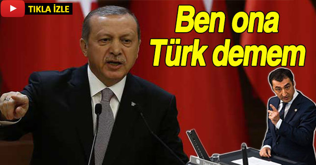 Cumhurbaşkanından Cem Özdemir'e sert eleştiri