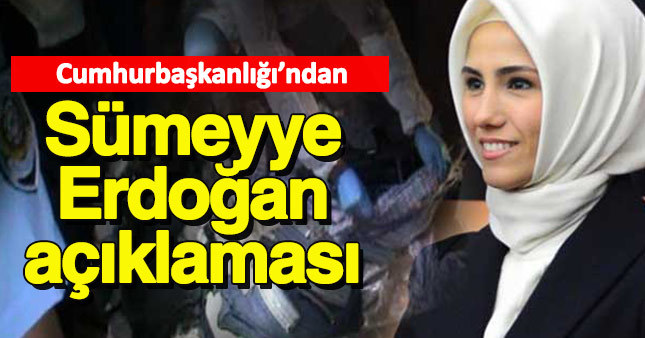 Cumhurbaşkanlığı: Silahlar terör amaçlı çalınmadı