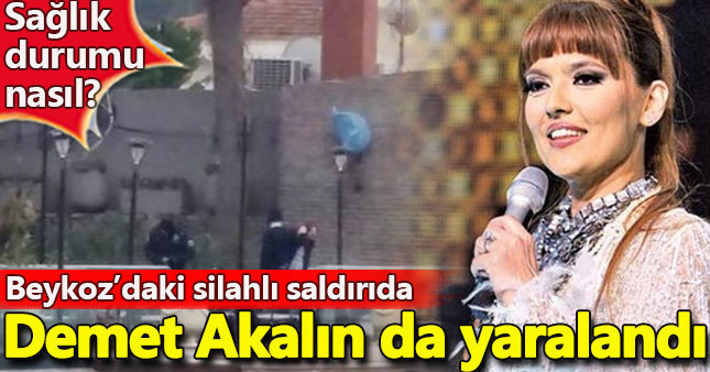 Demet Akalın kimdir, kaç yaşında? Instagram hesabı
