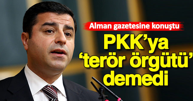 Demirtaş PKK'ya “terör örgütü” demedi