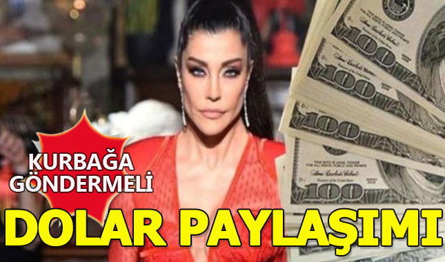 Deniz Akkaya'dan ilginç örnekli dolar paylaşımı!