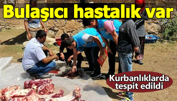 Dikkat! Kurbanlıklarda bulaşıcı hastalık var!