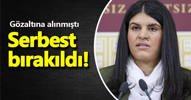 Dilek Öcalan serbest bırakıldı - Dilek Öcalan Kimdir?