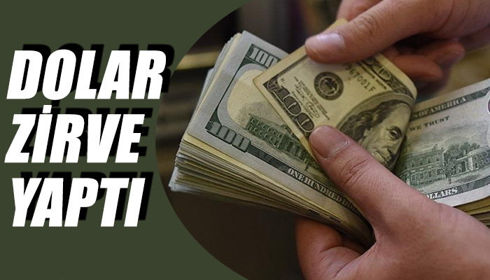 Dolar 1,5 ayın en üst seviyesinde