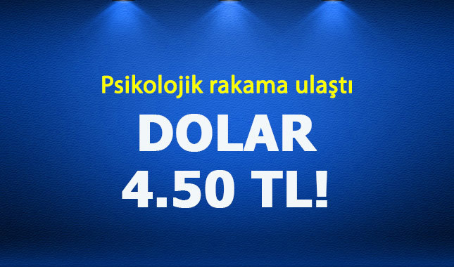 Dolar psikolojik rakamı buldu 4.50 TL