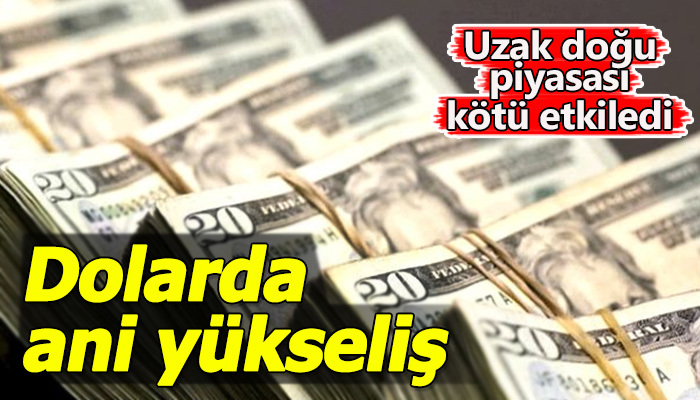 Dolarda ani yükseliş
