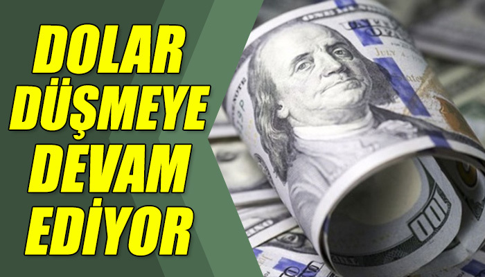 Dolardaki düşüş sürüyor