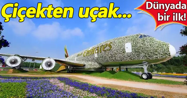 Dubai'de çılgın proje: Dünyanın ilk çiçek uçağı