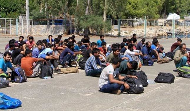 Edirne'de 44 kaçak göçmen yakalandı