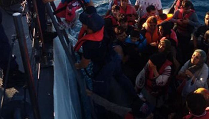 Edirne'de 77 kaçak göçmen yakalandı