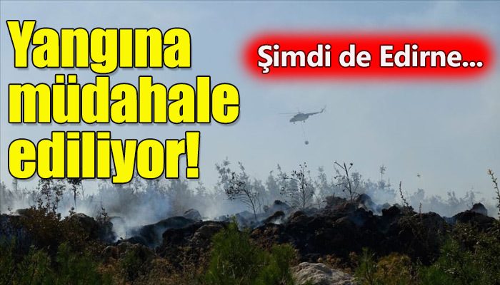 Edirne'de orman yangını