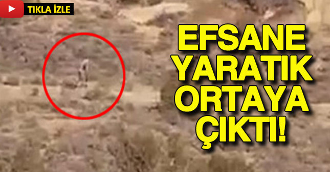 Efsanevi yaratık "chupacabra" Portekiz'de görüldü! Dünya şokta!