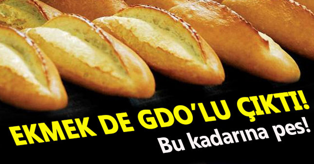 Ekmeğe'de GDO sonunda bulaştı