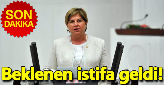Elif Doğan Türkmen istifa etti! - Elif Doğan Türkmen kimdir?