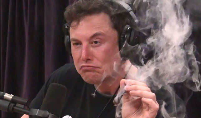 Elon Musk'a cinsel içerikli film teklifi