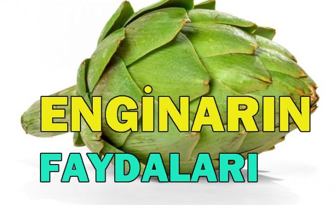Enginarın faydaları