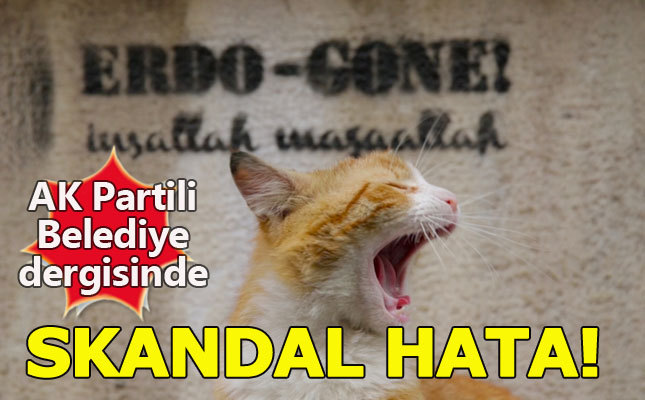 'Erdo-Gone' başlığı o derginin sonu oldu