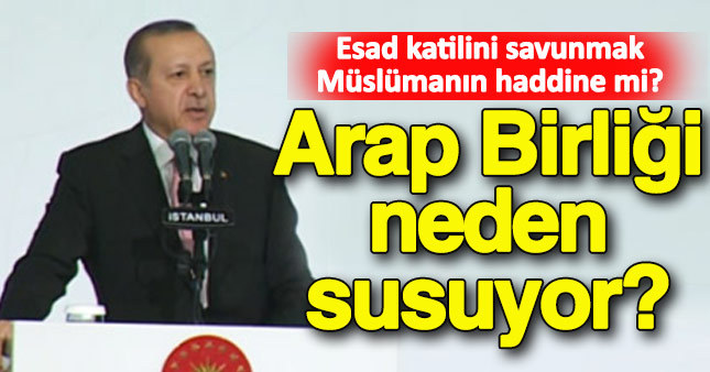 Erdoğan Arap Birliği'ne seslendi