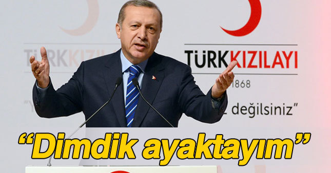 Erdoğan: Kalp krizi geçirdiğimi söylüyorlar, dimdik ayaktayım
