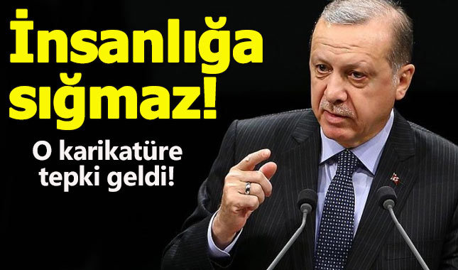 Erdoğan'a hakaret eden karikatüre KKTC Cumhurbaşkanı'ndan tepki!