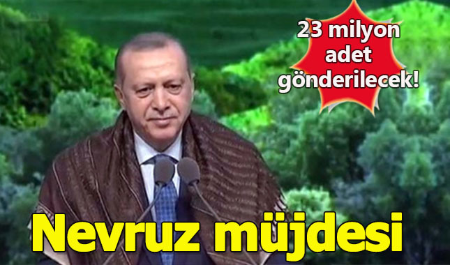 Erdoğan'dan Nevruz müjdesi: 23 milyon haneye karaçam tohumu göndereceğiz! Karaçam nedir?