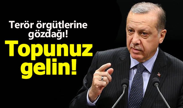Erdoğan'dan terör örgütlerine gözdağı: Topunuz gelin, tepenize bineceğiz!