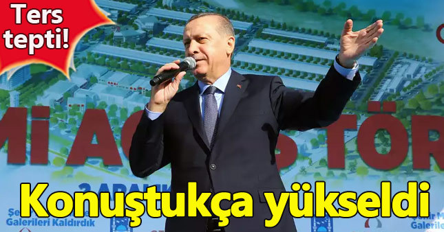 Erdoğan'ın döviz çağrısı piyasalarda ters etki yaptı