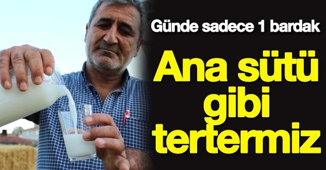 Eşek sütü anne sütüne rakip olduc