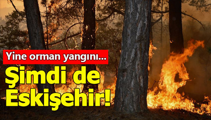 Eskişehir'de orman yangını!