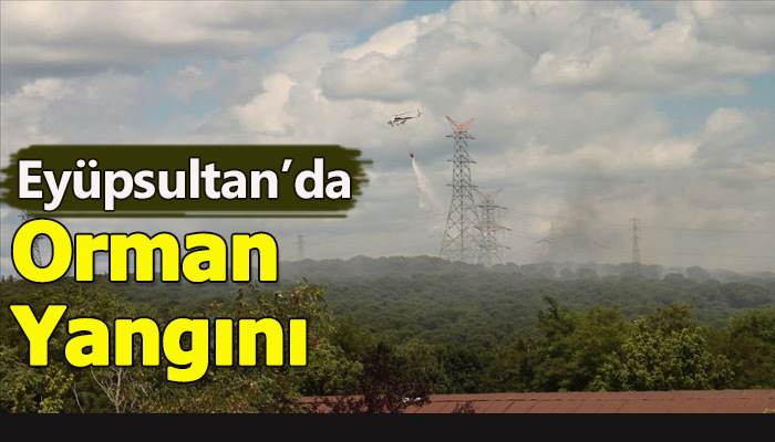 Eyüpsultan'da orman yandı